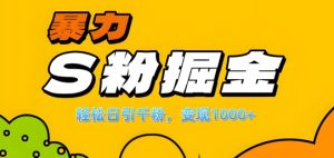 单人单机日引千粉,变现1k+,S粉流量掘金计划攻略【揭秘】-学习笔记资源库