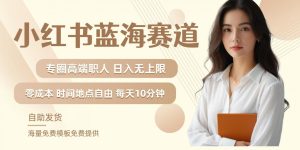 小红书蓝海赛道,圈中高端职场人,月入无上限,可矩阵,内含私域实操教程!-学习笔记资源库