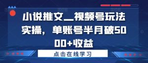小说推文—视频号玩法实操,单账号半月破5000+收益-学习笔记资源库