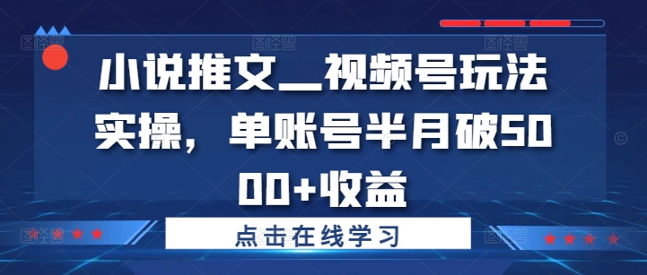 小说推文—视频号玩法实操，单账号半月破5000+收益-学习笔记资源库