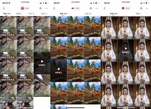 狗熊岭快手连怼技术,好物,涨粉都可以连怼-学习笔记资源库