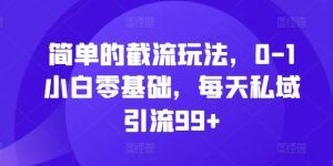 简单的截流玩法，0-1小白零基础，每天私域引流99+【揭秘】-学习笔记资源库