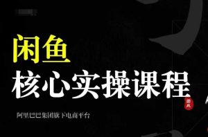 2024闲鱼核心实操课程,从养号、选品、发布、销售,教你做一个出单的闲鱼号-学习笔记资源库