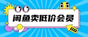 外面收费998的闲鱼低价充值会员搬砖玩法号称日入200+-学习笔记资源库