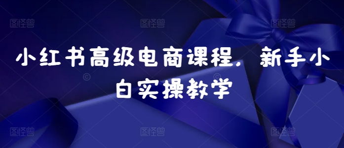 小红书高级电商课程，新手小白实操教学-学习笔记资源库