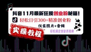 抖音11月最新狂揽创业粉秘籍,轻松日引300+精准创业粉,仅需图片+音频,轻松搞定创业类视频-学习笔记资源库