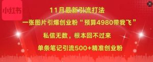 小红书11月最新图片打粉,一张图片引爆创业粉,“预算4980带我飞”,单条引流500+精准创业粉-学习笔记资源库