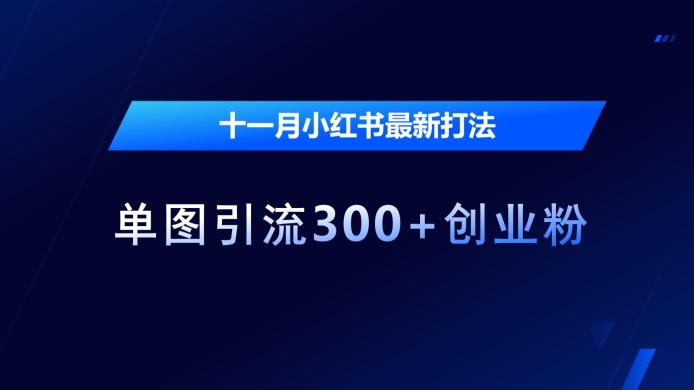 十一月小红书最新打法，单图引流300+创业粉【揭秘】-学习笔记资源库