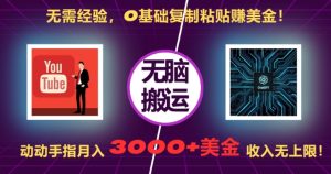 无需经验，0基础复制粘贴赚美刀，动动手指，月入3000+刀，无上限【揭秘】-学习笔记资源库