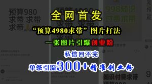 小红书“预算4980带我飞”图片打法，一张图片引爆创业粉，私信回不完，单条引流300+精准创业粉-学习笔记资源库