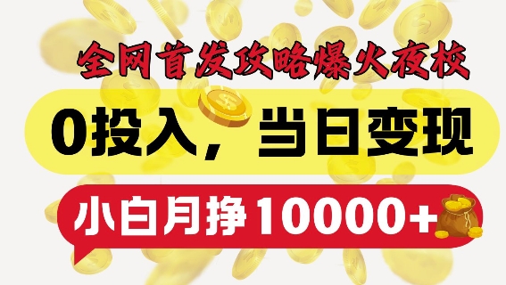 全网首发爆火夜校，0投入，当日变现，小白轻松月入1w+【揭秘】-学习笔记资源库