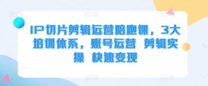 IP切片剪辑运营陪跑课,3大培训体系,账号运营 剪辑实操 快速变现-学习笔记资源库