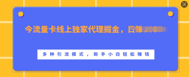 流量卡线上独家代理掘金，日入1k+ ，多种引流模式，新手小白轻松上手【揭秘】-学习笔记资源库