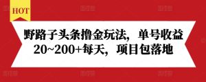 野路子头条撸金玩法，单号收益20~200+每天，项目包落地-学习笔记资源库