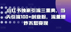 小红书独家引流三重奏,当天引流100+创业粉,流量爆炸不愁变现【揭秘】-学习笔记资源库