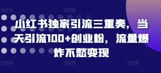 小红书独家引流三重奏，当天引流100+创业粉，流量爆炸不愁变现【揭秘】-学习笔记资源库