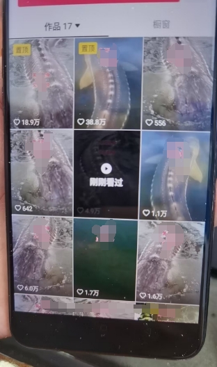 外面卖399的国学佛像原创暴力起号技术，快速起号，7天可达到一个万粉号-学习笔记资源库