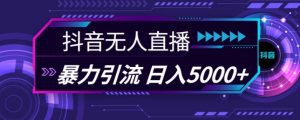 抖音快手视频号全平台通用无人直播引流法,利用图片模板和语音话术,暴力日引流100+创业粉【揭秘】-学习笔记资源库