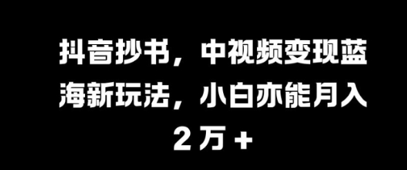 抖音抄书，中视频变现蓝海新玩法，小白亦能月入 过W【揭秘】-学习笔记资源库