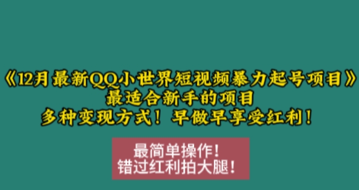 12月最新QQ小世界短视频暴力起号项目，最适合新手的项目，多种变现方式-学习笔记资源库