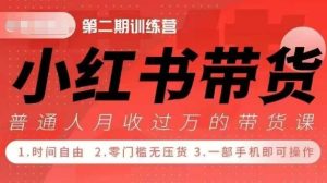 小Red书带货42天训练营 2.0版,宝妈+自由职+上班族+大学生,提高副业收入的大红利项目-学习笔记资源库