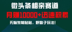 微头条相亲赛道，迅速积累，无脑复制粘贴，野路子玩法，月入1w-学习笔记资源库