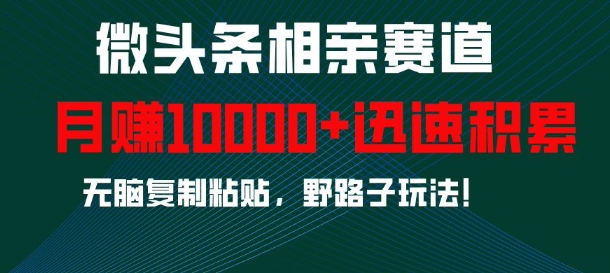 微头条相亲赛道，迅速积累，无脑复制粘贴，野路子玩法，月入1w-学习笔记资源库