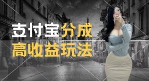 支付宝分成计划新玩法，利用交通事故视频，赚收益，轻松月入过W，操作简单【揭秘】-学习笔记资源库