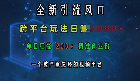 全新引流风口，跨平台玩法日入上k，单日狂揽200+精准创业粉，一个被严重忽略的视频平台-学习笔记资源库