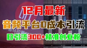 12月最新:音频平台0成本引流,日引流300+精准创业粉-学习笔记资源库