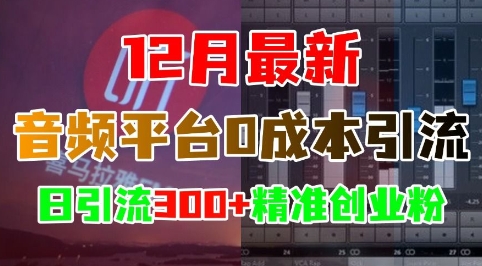 12月最新：音频平台0成本引流，日引流300+精准创业粉-学习笔记资源库