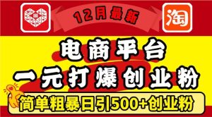 12月最新:电商平台1元打爆创业粉,简单粗暴日引500+精准创业粉,轻松月入过W【揭秘】-学习笔记资源库