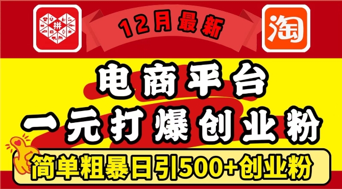 12月最新：电商平台1元打爆创业粉，简单粗暴日引500+精准创业粉，轻松月入过W【揭秘】-学习笔记资源库