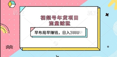 视频号年货项目，流量贼猛，早布局早挣钱，日入上k【揭秘】-学习笔记资源库