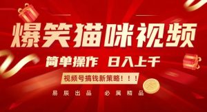 爆笑猫咪视频:简单操作,日入过K,视频号搞钱新策略【揭秘】-学习笔记资源库