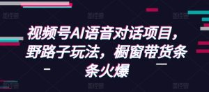 视频号AI语音对话项目,野路子玩法,橱窗带货条条火爆-学习笔记资源库
