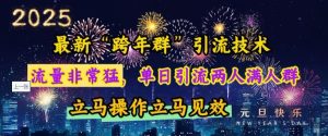 最新“跨年群”引流,流量非常猛,单日引流两人满人群,立马操作立马见效【揭秘】-学习笔记资源库