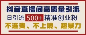 抖音直播间引流创业粉,无需连麦、不用上镜、超暴力,日引流500+高质量精准创业粉-学习笔记资源库
