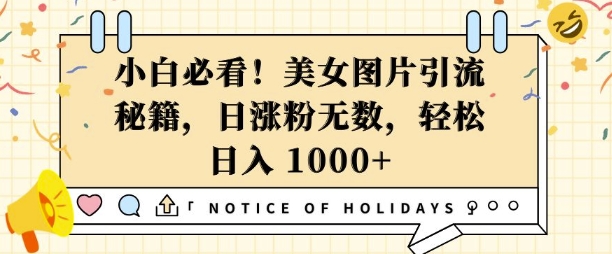 小白必看，美女图片引流秘籍，日涨粉无数，轻松日入几张【揭秘】-学习笔记资源库