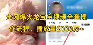 全网爆火龙宝宝视频全套操作流程,播放量2000万+-学习笔记资源库