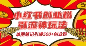 小红书创业粉引流神玩法，单图笔记引爆500+精准创业粉丝，私信狂潮接连不断-学习笔记资源库