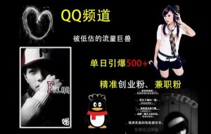 QQ频道：被低估的流量巨兽，单日引爆500+精准创业粉、兼职粉的引流秘籍-学习笔记资源库