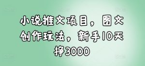 小说推文项目,图文创作玩法,新手10天挣3000-学习笔记资源库