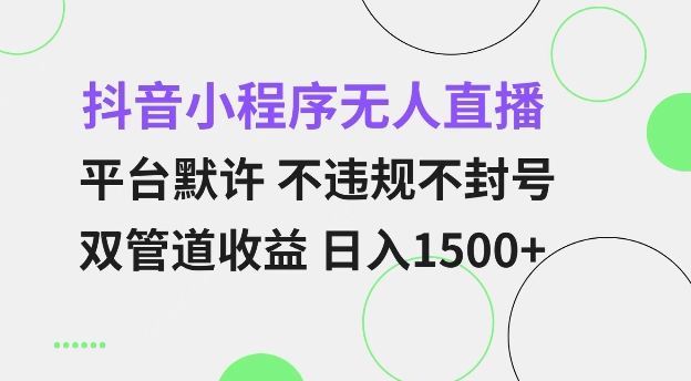 抖音小程序无人直播 平台默许 不违规不封号 双管道收益 日入多张 小白也能轻松操作【仅揭秘】-学习笔记资源库