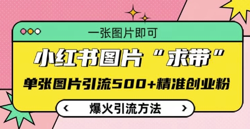 小红书图片‘求带’爆火引流法，单张图片引流500+精准创业粉【揭秘】-学习笔记资源库