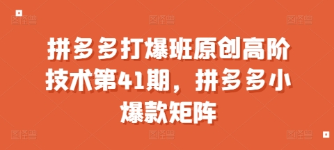 拼多多打爆班原创高阶技术第41期，拼多多小爆款矩阵-学习笔记资源库