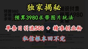 预算3980求带 图片玩法,单条日引流500+精准创业粉,私信根本回不完-学习笔记资源库