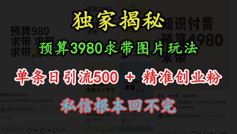 预算3980求带 图片玩法，单条日引流500+精准创业粉，私信根本回不完-学习笔记资源库