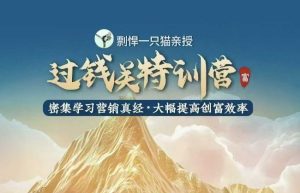 剽悍一只猫-过钱关特训营,学习营销真经 大幅度提高创富效率-学习笔记资源库