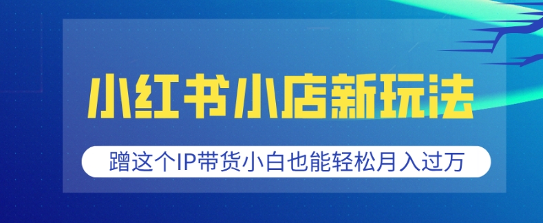 小红书小店新玩法，蹭这个IP带货，小白也能轻松月入过W【揭秘】-学习笔记资源库